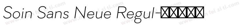 Soin Sans Neue Regul字体转换